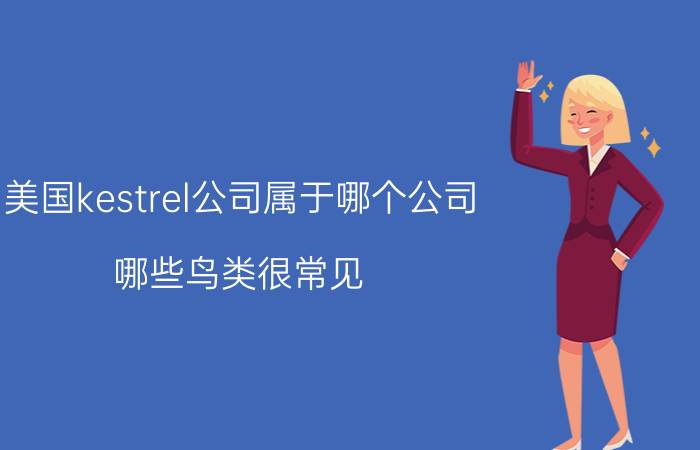 美国kestrel公司属于哪个公司 哪些鸟类很常见，但却是国家保护动物？